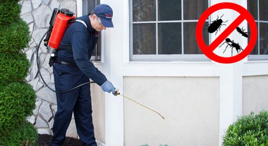 Akşehir Karınca İlaçlama böcek ilaçlama ve haşere kontrolü — ilaclama-tr.com